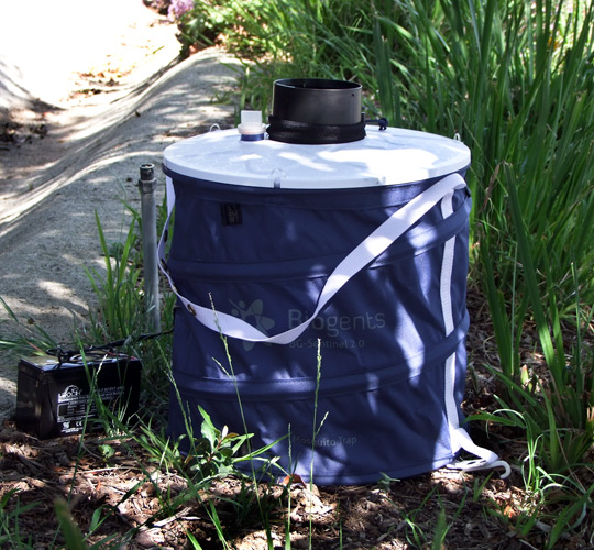 BG-2 Trap Image