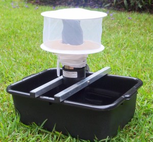Gravid Trap Image